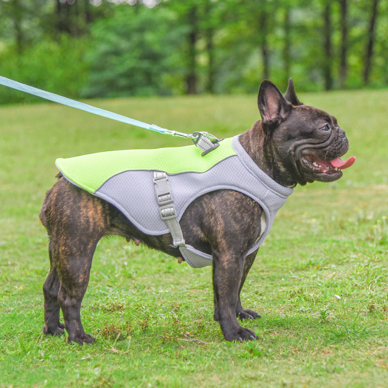 Pet Dog Cooling Vest